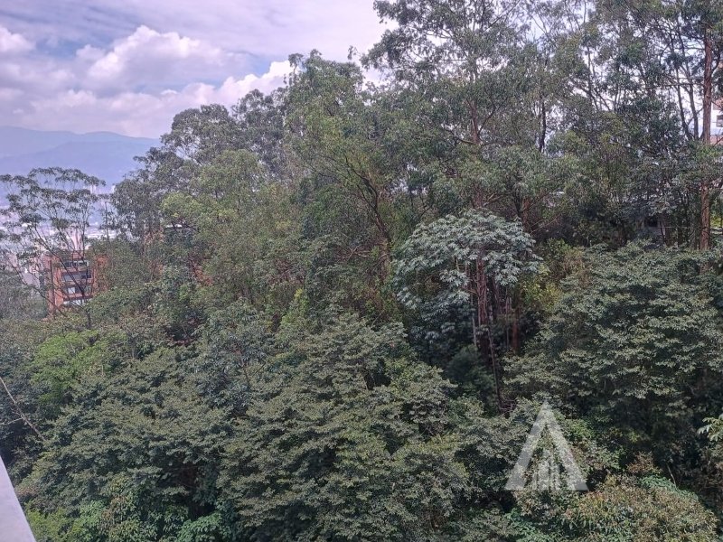 foto_104782_901271444_7279748824_ss