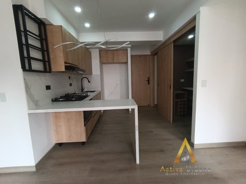 foto_104782_901271444_7419631203_ss