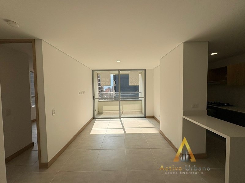 foto_104782_901271444_7725179157_ss