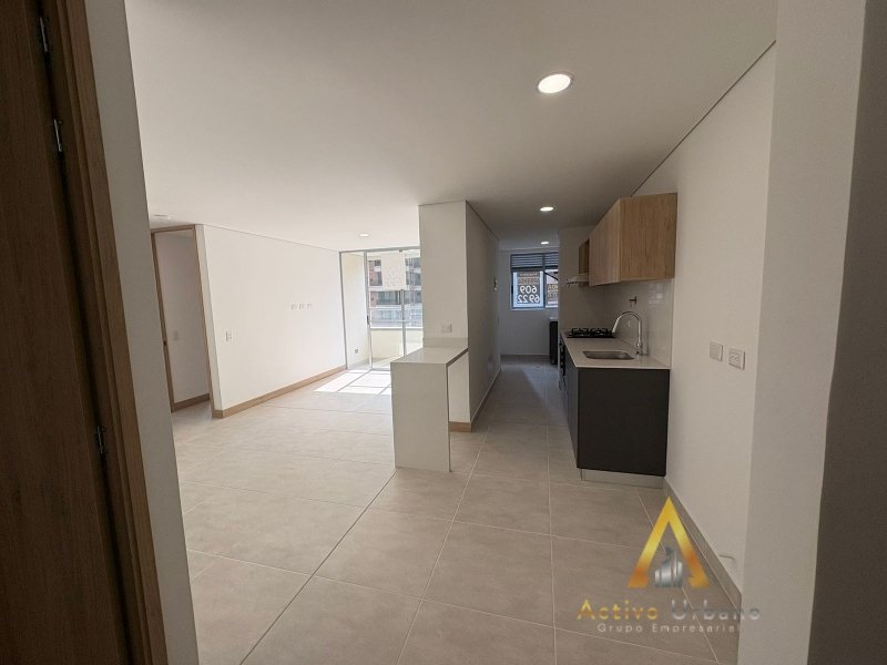 foto_104782_901271444_7731420398_ss