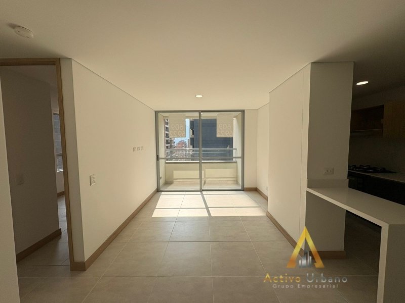 foto_104782_901271444_7746807605_ss