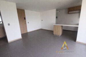 foto_104782_901271444_7936523580_ss