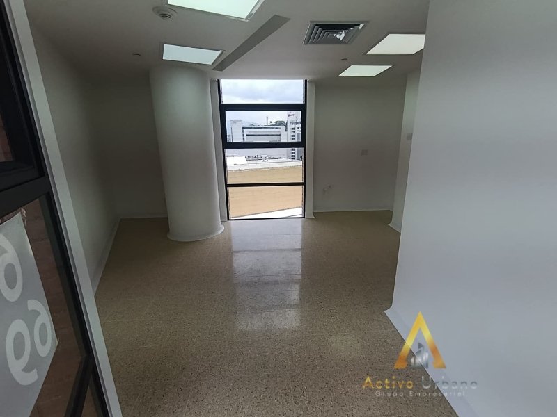 foto_104782_901271444_7977829190_ss