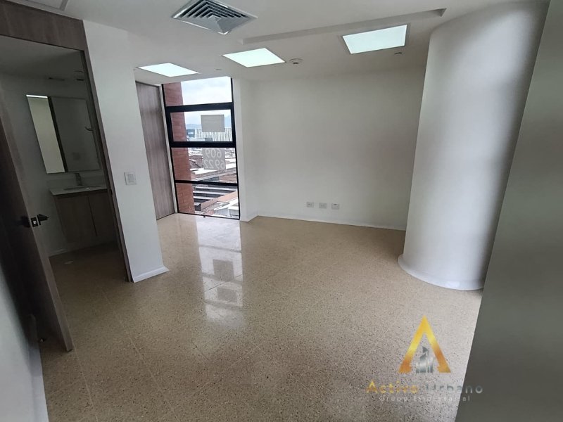 foto_104782_901271444_7977929713_ss