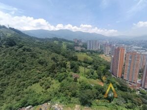 foto_104782_901271444_7990361667_ss