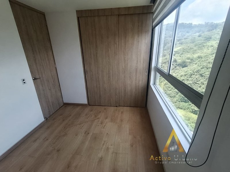 foto_104782_901271444_8173469099_ss