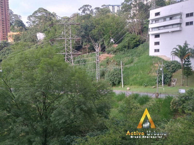 foto_104782_901271444_9142916755_ss