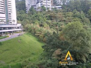 foto_104782_901271444_9143788980_ss