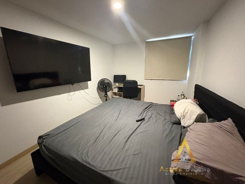 foto_104782_901271444_9253315712_ss