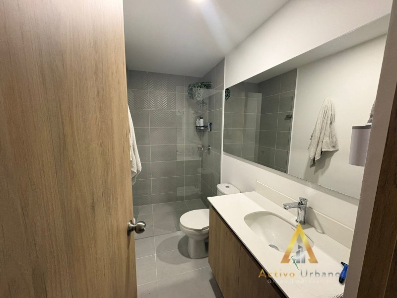 foto_104782_901271444_9254019768_ss