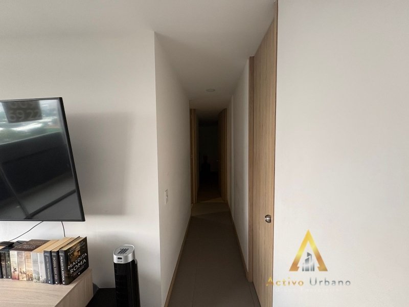 foto_104782_901271444_9275573646_ss