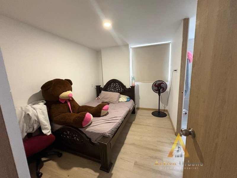 foto_104782_901271444_9338129141_ss