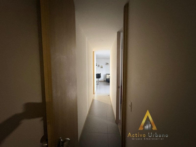 foto_104782_901271444_9357142955_ss