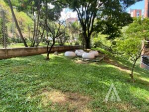 foto_104782_901271444_5839405464_ss